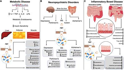 Fecal microbiota transplantation in non-communicable diseases: Recent advances and protocols
